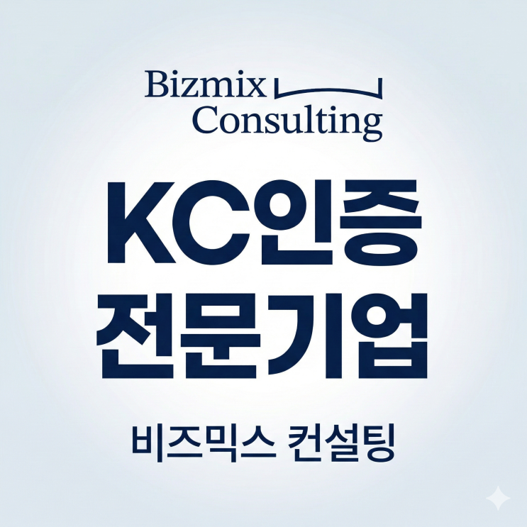  대표 컨설턴트 소개 l 비즈믹스 컨설팅