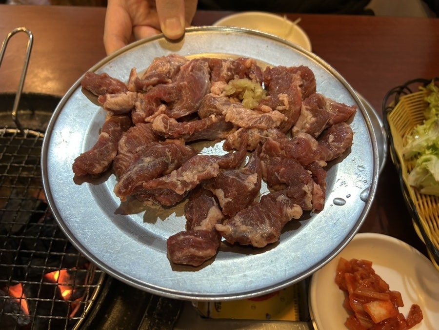 갈매기먹짱 사진 6