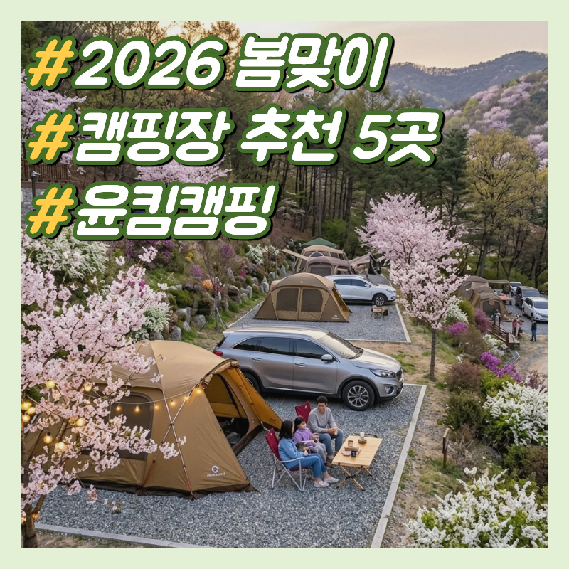 2026 봄맞이 캠핑장 추천 5곳: 사이트 옆 주차, 예약 방법, 위치 완벽 가이드