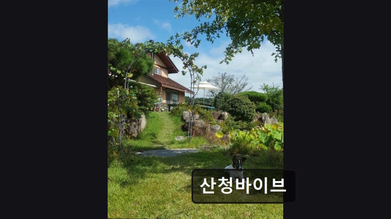 사진 4