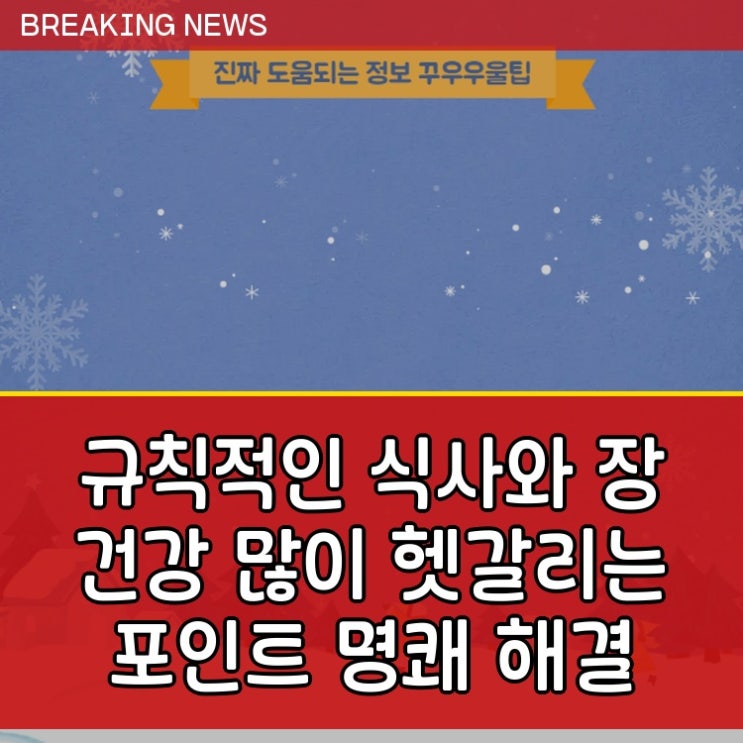  규칙적인 식사와 장 건강 많이 헷갈리는 포인트 명쾌 해결
