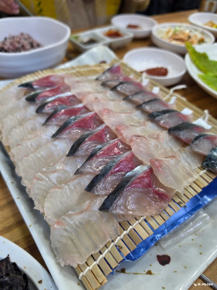  제주 현지인 택시기사님 추천 서귀포 동홍동 맛집 자리돔횟집 고등어회 내돈내산 후기
