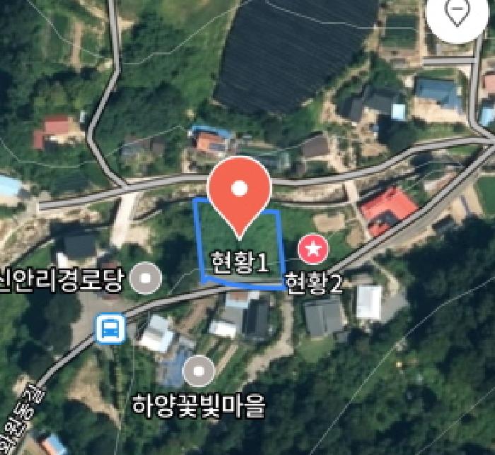  금산 제원면 신안리 460평 대지 '반값' 폭락! 마을공동관정 및 명도 리스크 주의 2025타경503275