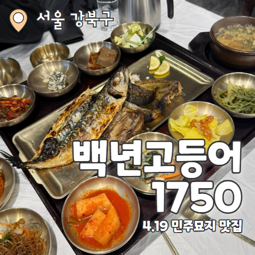  백년고등어1750 : 4.19 민주묘지 북한산 강레오 유튜브 생선구이맛집 내돈내산 후기