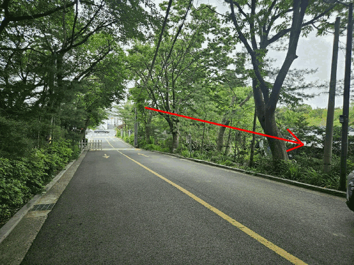  강남 자곡동 수서역세권 600평 대토지 35억 폭락! 농취증 및 지상권 리스크 분석 필수 2025타경102817