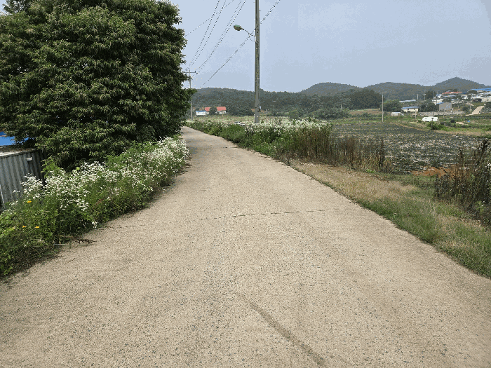  당진 석문면 삼봉리 3,800평 대규모 부지 4억 폭락! 법정지상권 및 구분지상권 인수 주의 2025타경51421