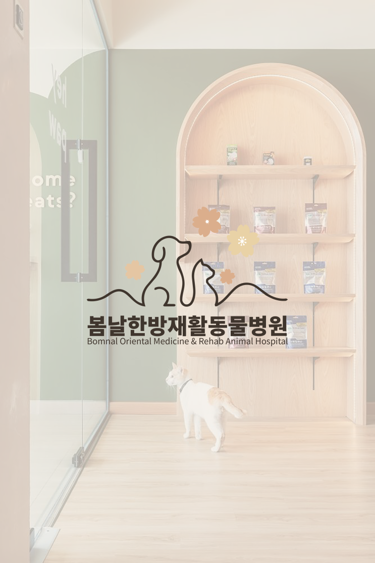  동물병원 간판 디자인 목업 제작