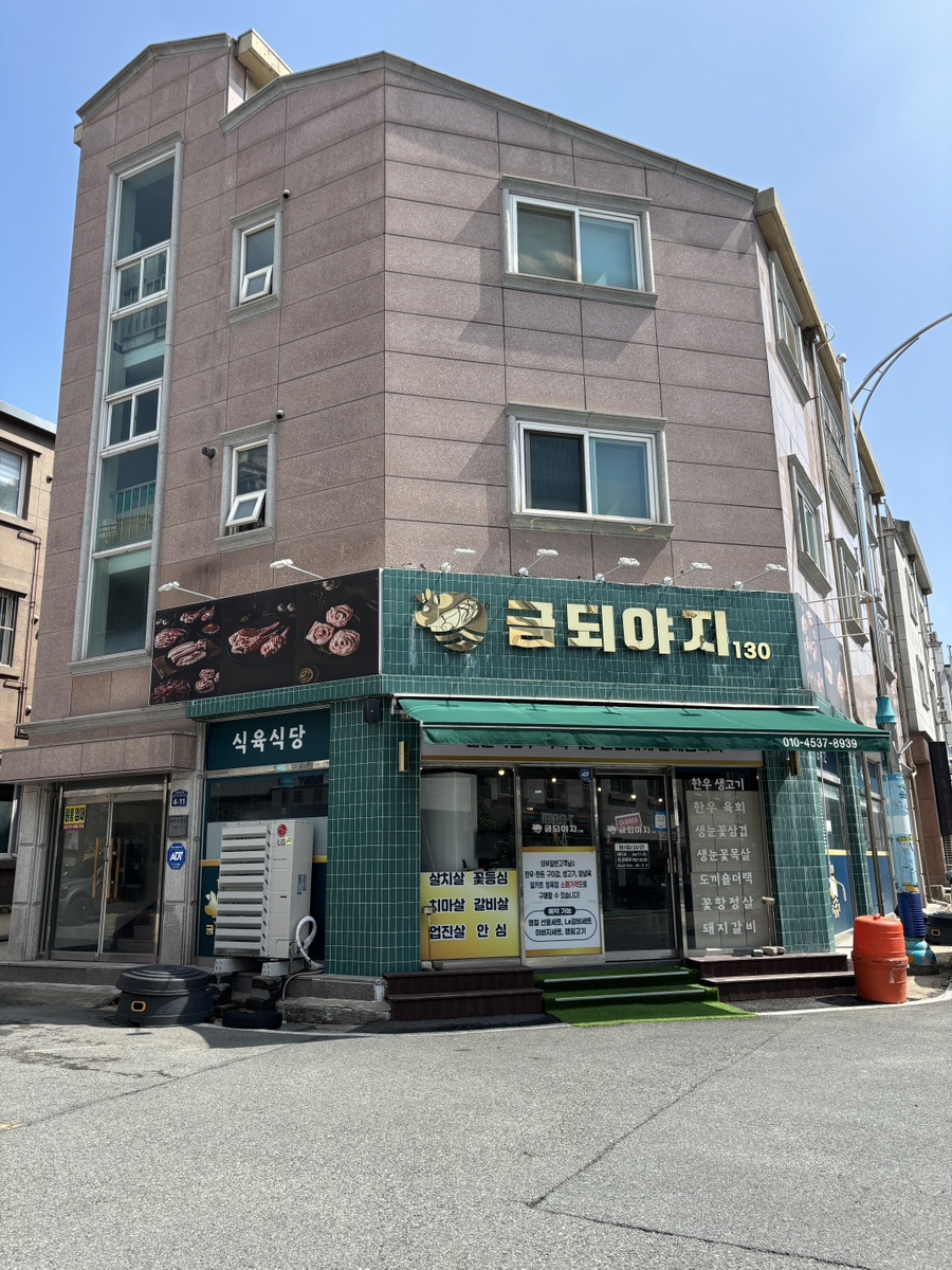 금되야지 사진 2