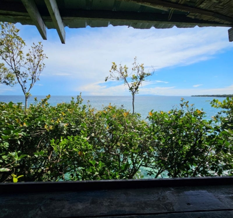 필리핀 보홀맛집 비팜 레스토랑-오션뷰 . 분위기 좋은곳