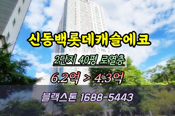  신동백롯데캐슬에코 2단지 경매,40평  용인 중동의 대장주