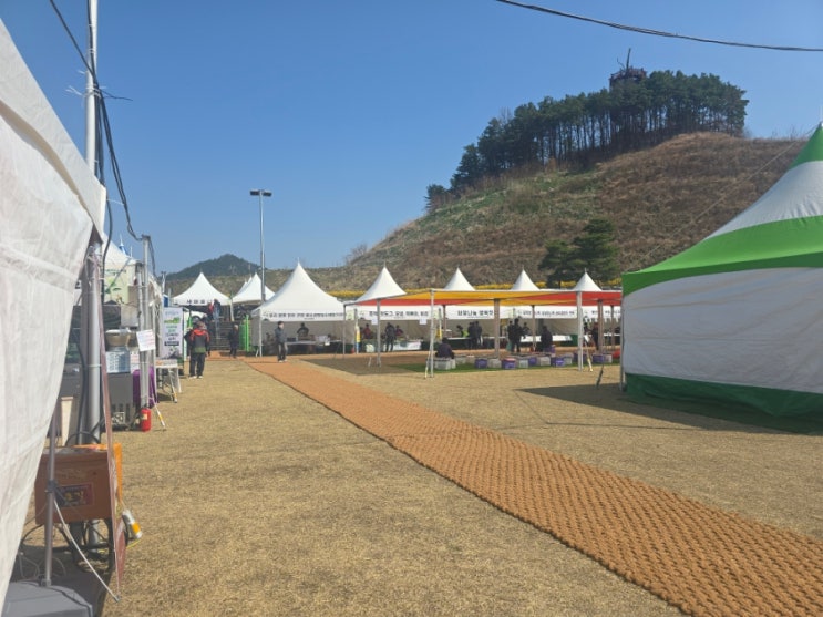 [2026 옥천 묘목축제] 아이와 함께 가볼만한곳! 기본정보·일정·가수 라인업 총정리