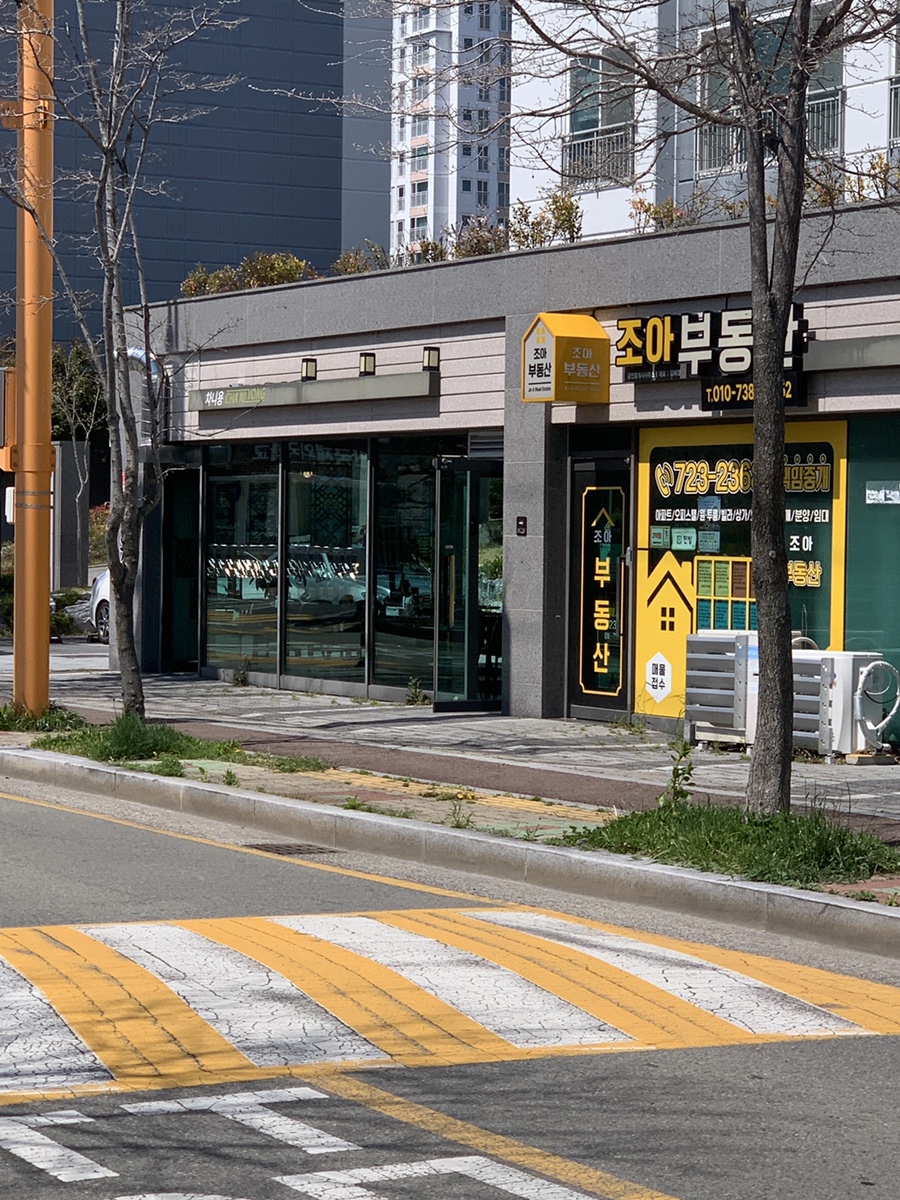 차니용 사진 1