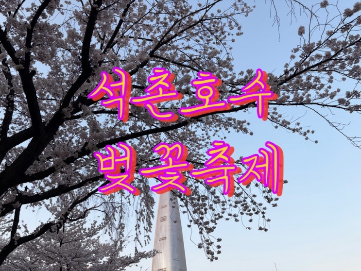   2026 석촌호수 벚꽃축제 실시간 후기! 주차 꿀팁 & 롯데마트 주차요금 정리