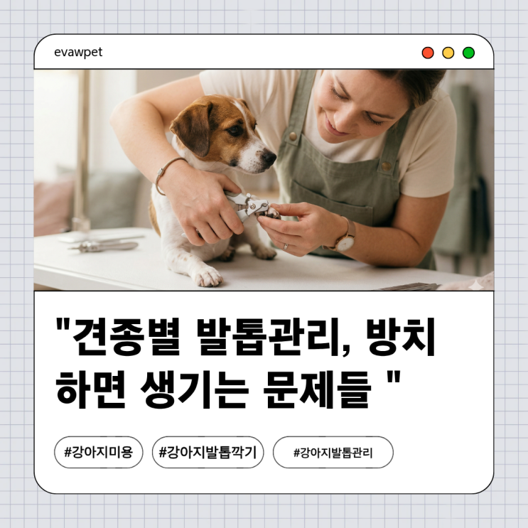  견종별 발톱 관리법 | 방치하면 생기는 문제들
