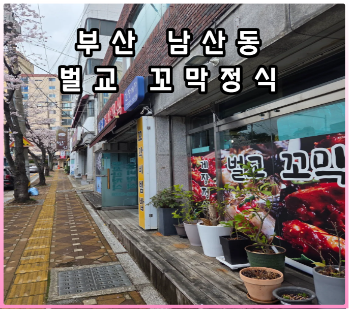 벌교꼬막정식 사진 1
