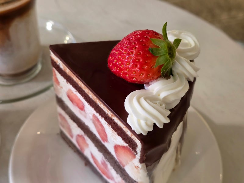사진 2