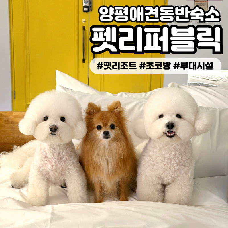 사진 10