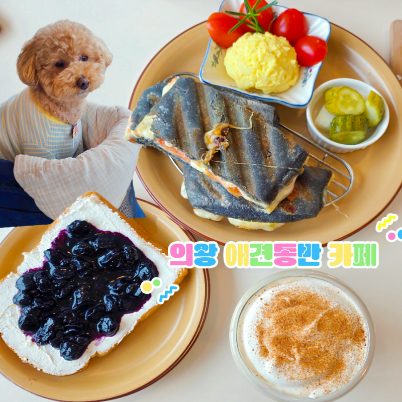 카페 몽블