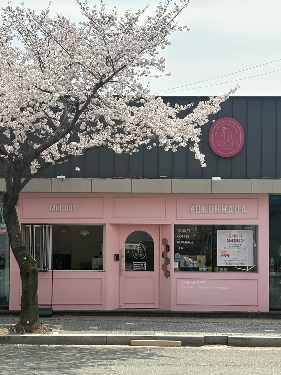 요거하다 사진 1