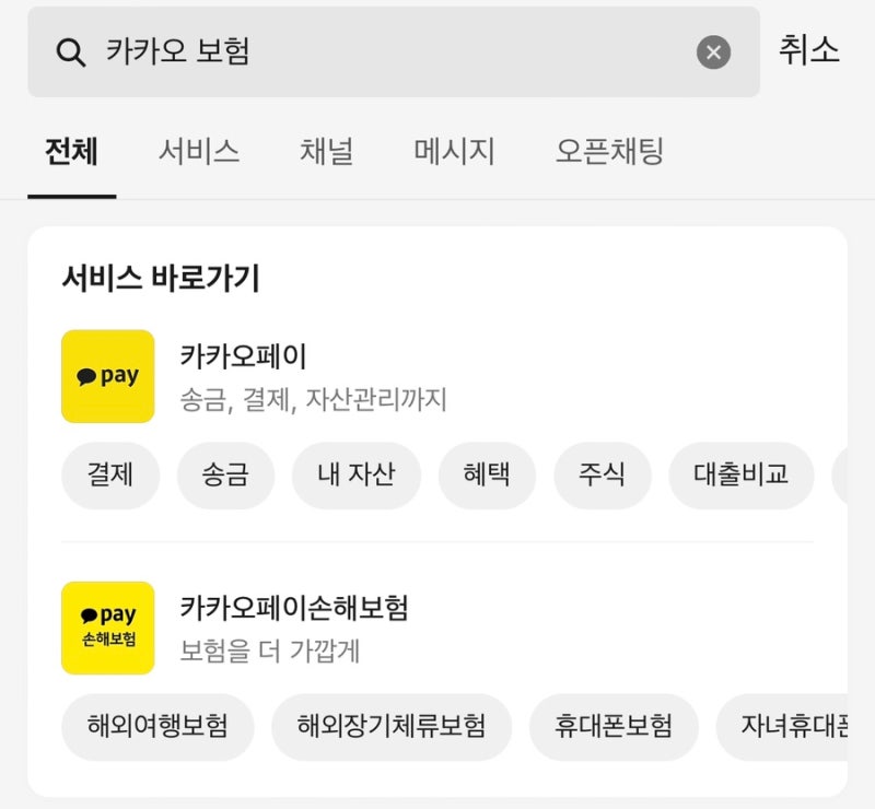 카카오 해외여행보험 청구 후기 - 핸드폰 수리 불가 판정, 공기계 청구 가능 여부