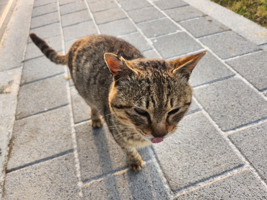 서기산 사진 1