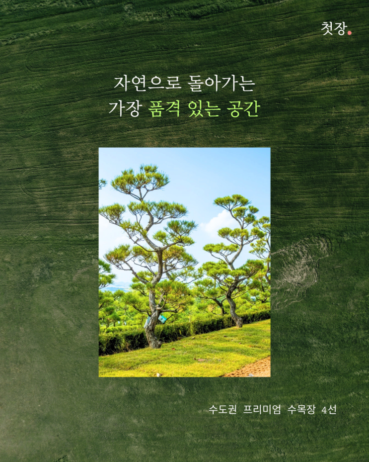 경기도 수목장 비교 정리 4곳 - 무량수목장, 자연애숲수목장, 일산공감수목장, 양지수목장 [첫장]