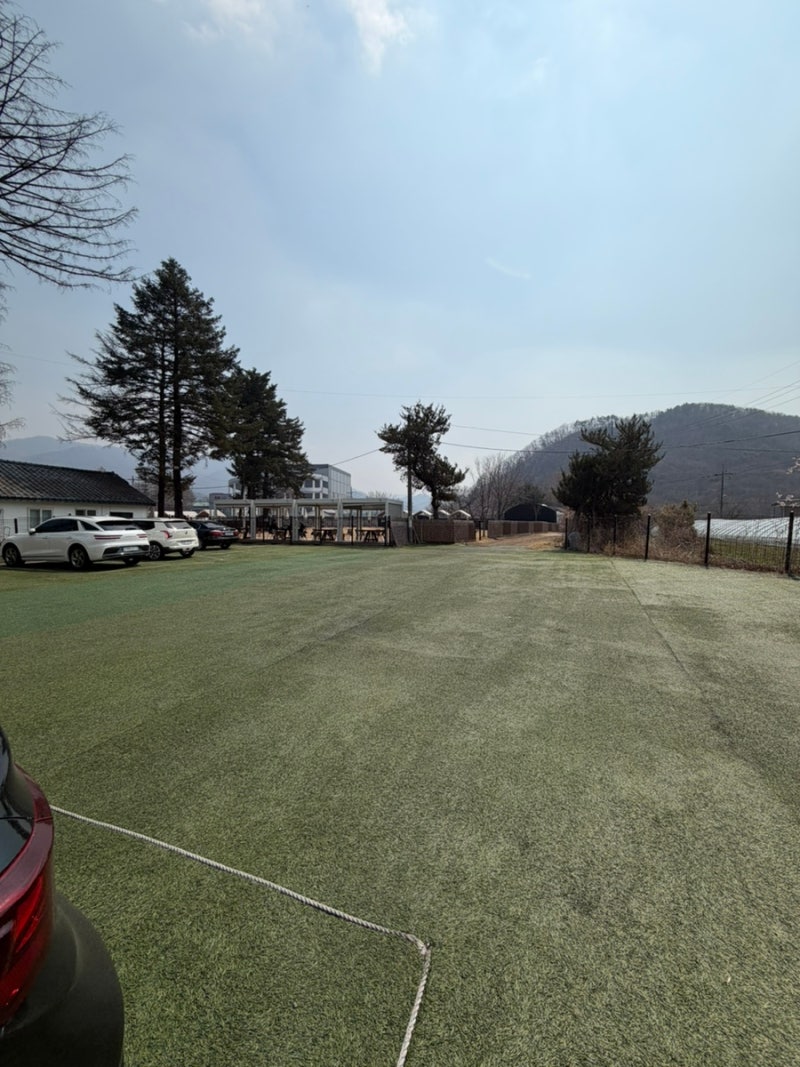 사진 3