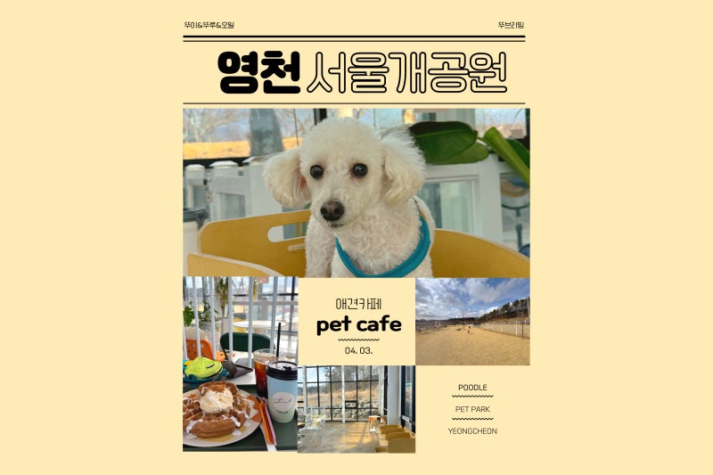 사진 3