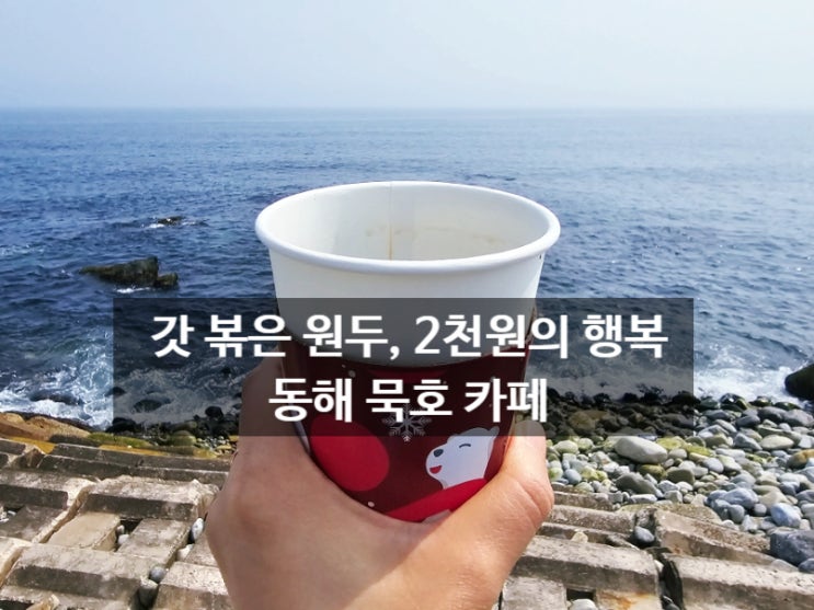  묵호 블랑 카페 후기 / 가성비 동해 오션뷰카페 2천원의 행복