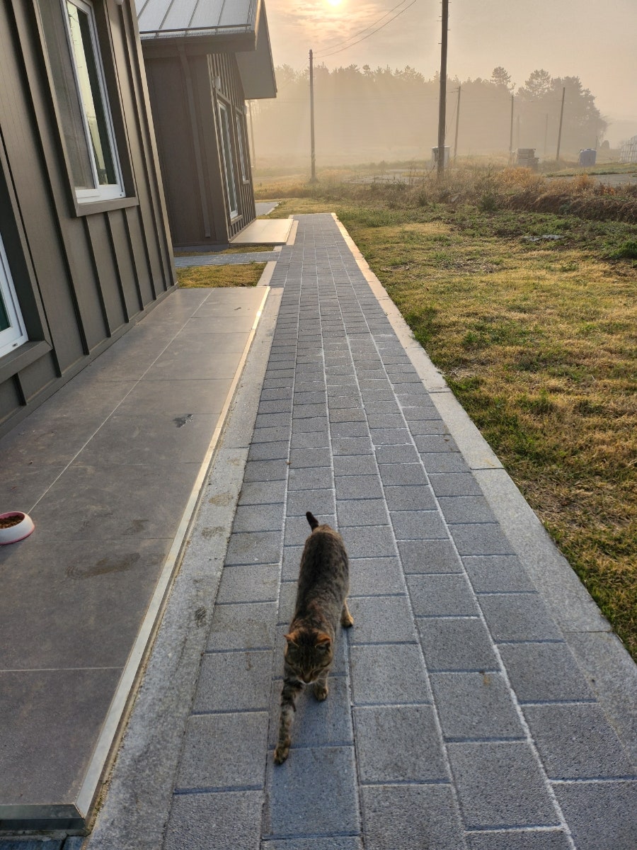 서기산 사진 2