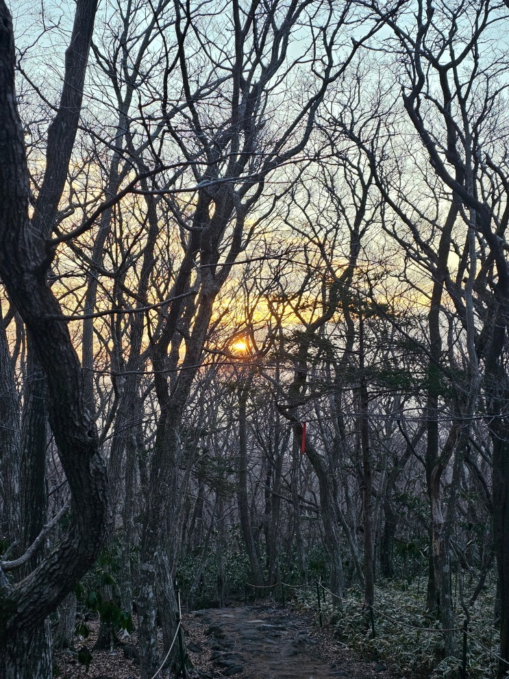  제주 성판악 코스로 다녀온 한라산 사라오름 속밭대피소 주차비 이천원