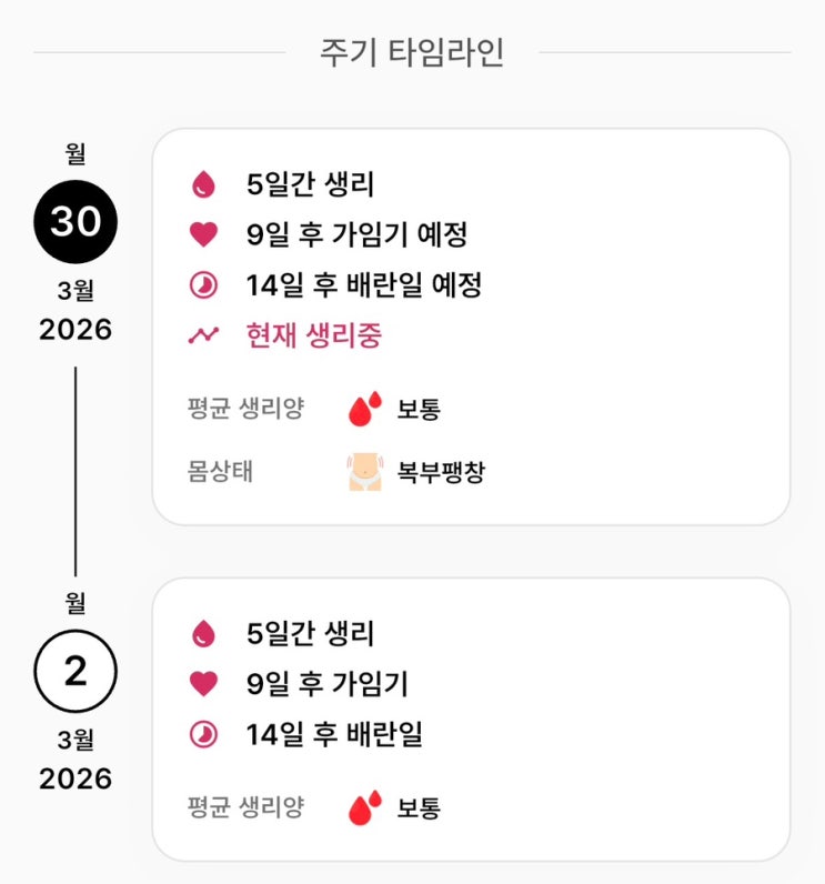  생리어플 유목민 생활 끝, 정확한 주기 예측부터 사주까지 Cuo 실제 사용후기