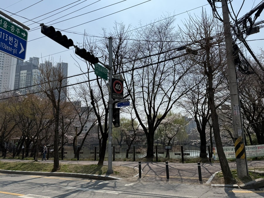 요거트에브리띵 하이닉스점 사진 4
