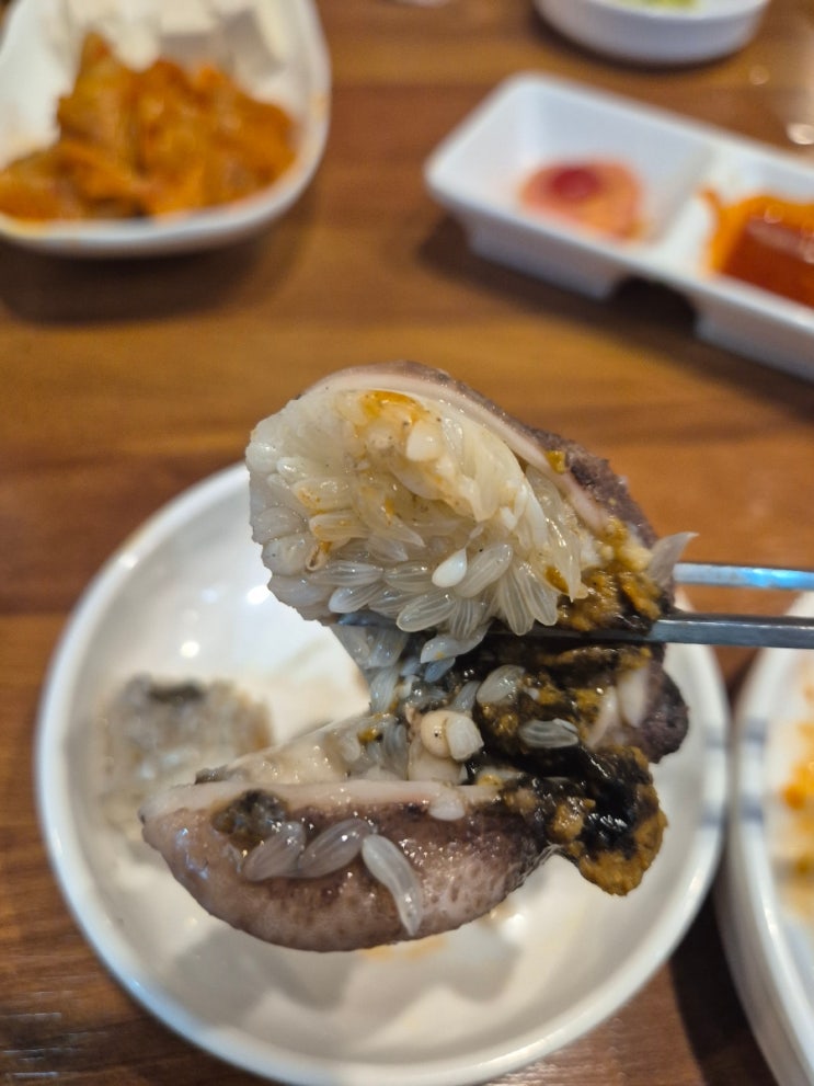  의정부 마산아재 쭈꾸미샤브샤브 제철 후기