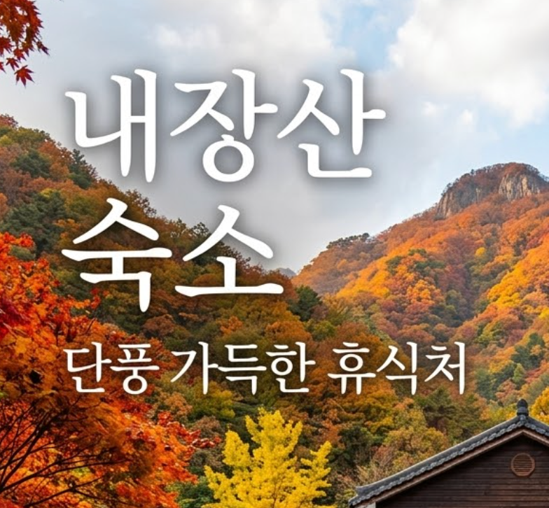 정읍 내장산 근처 숙소, 시설 깨끗하고 저렴한 곳