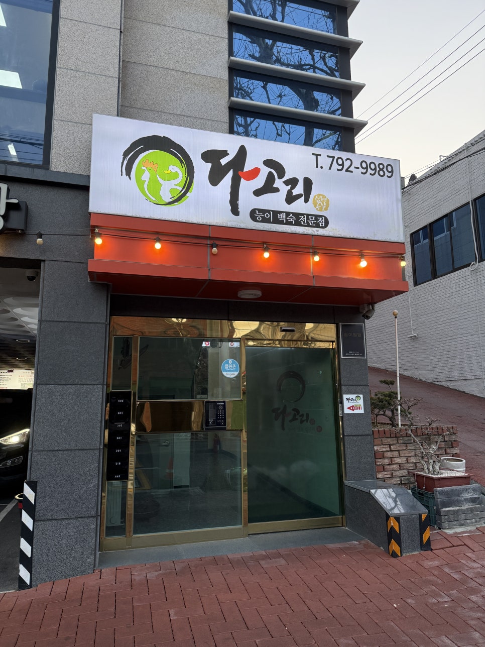 다고리 사진 1