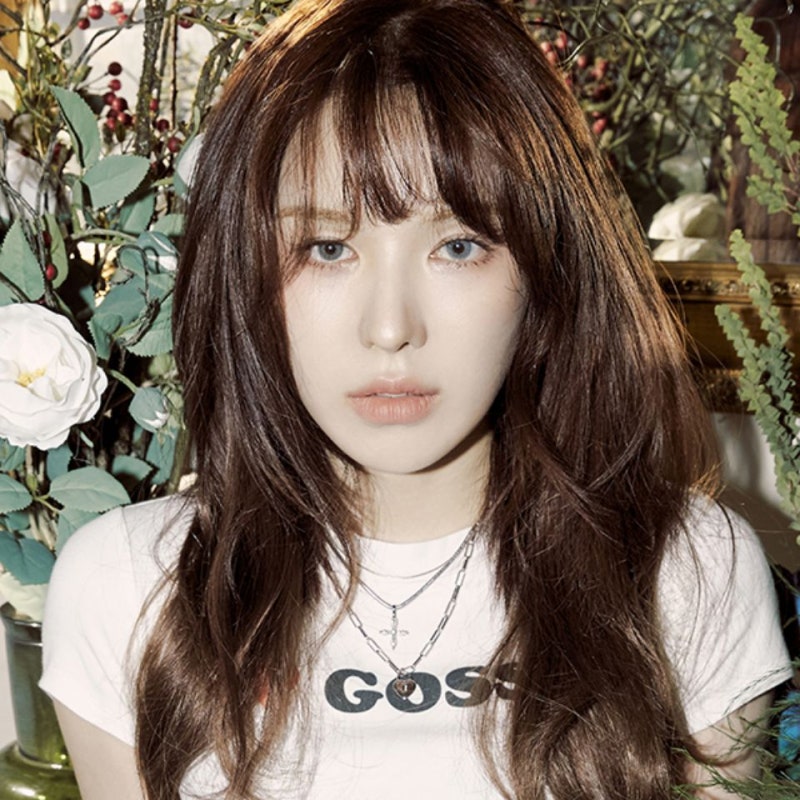 웬디 - Goodbye [곡소개/ 듣기/ 가사]