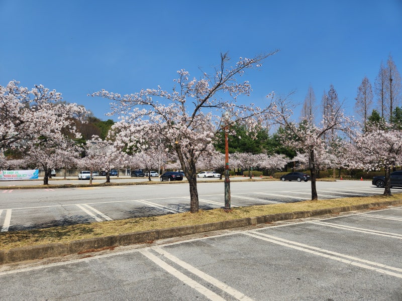 사진 6