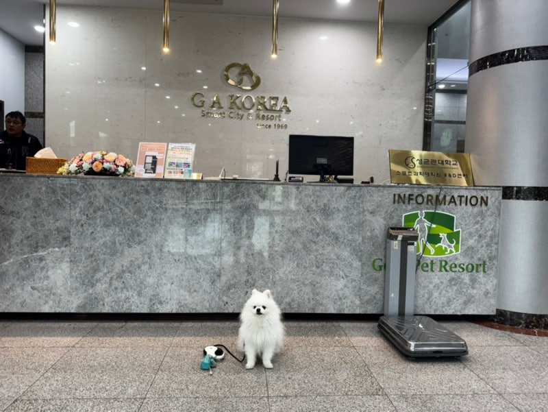 사진 5