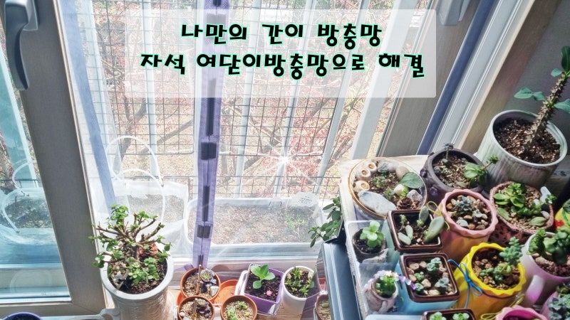 베란다 창문 방충망 셀프설치 간편하게 해결!!