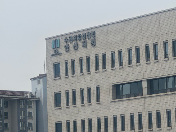  공소청 중수청 뜻, 쉽게 설명!