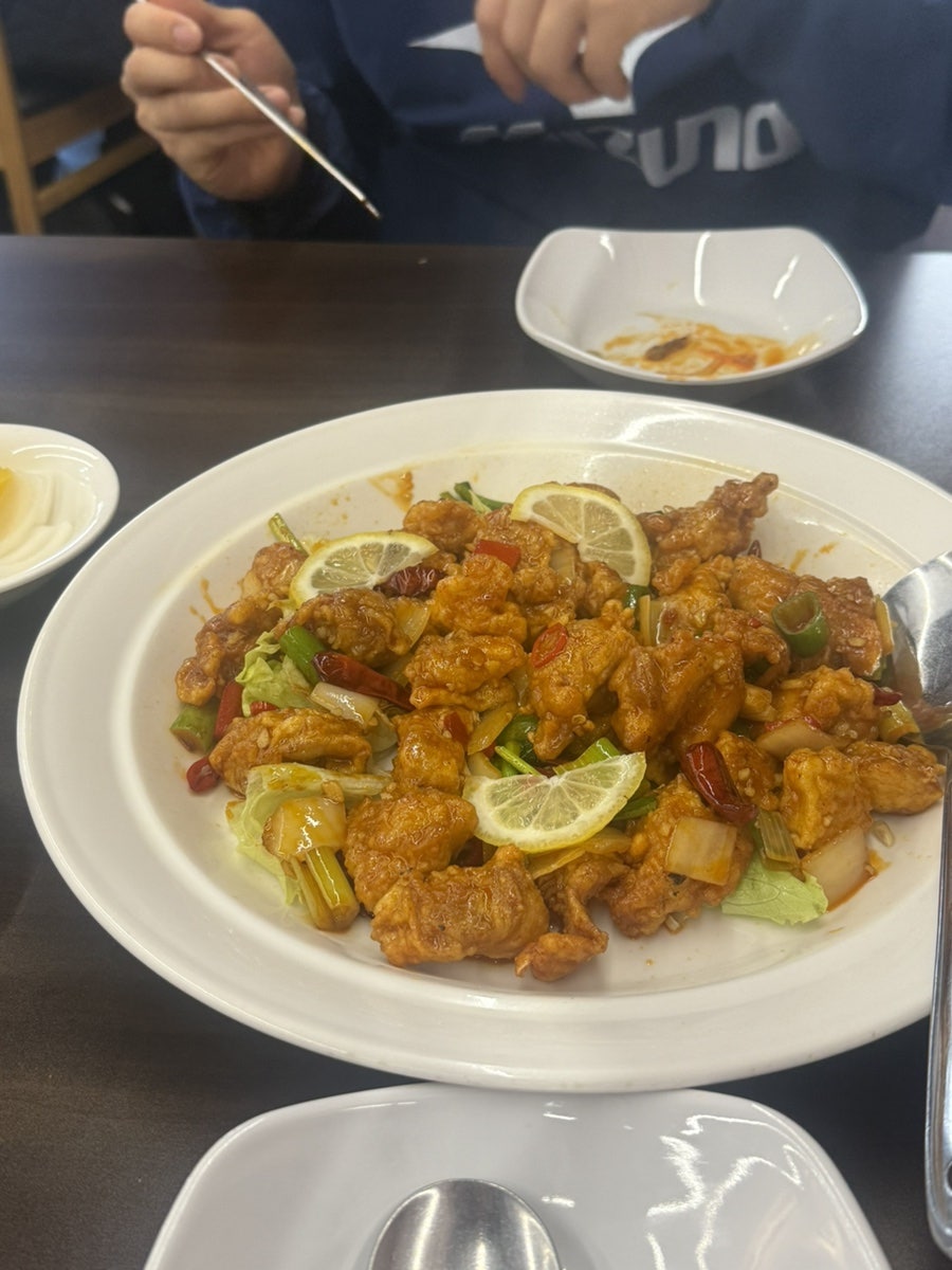 젠차이 사진 1