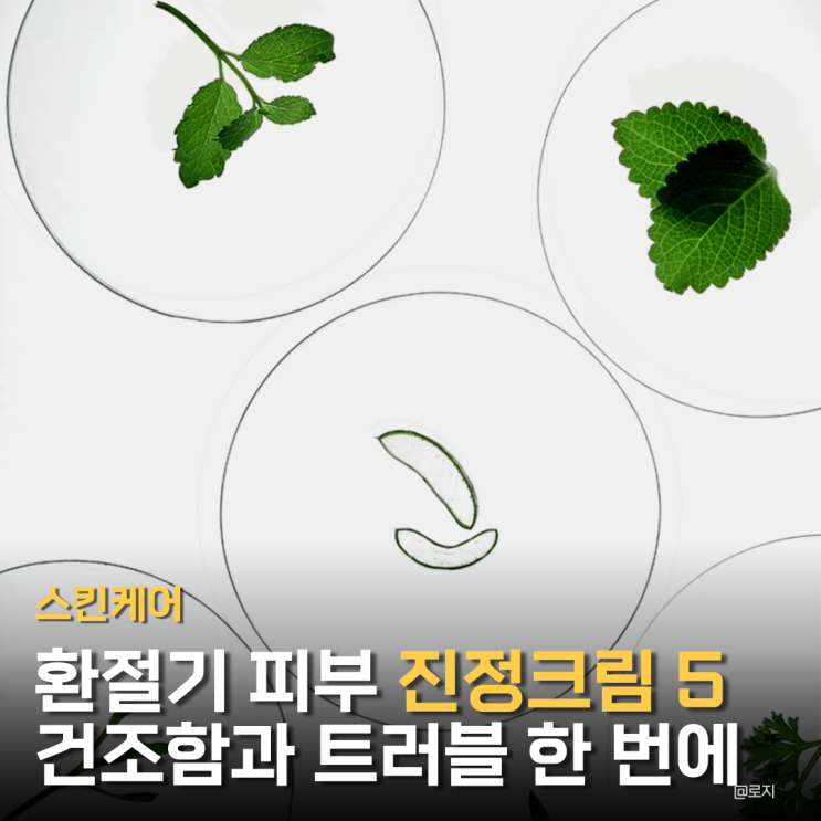  "환절기 피부 비상! 건조함과 트러블 한 번에 잡는 진정크림TOP5"