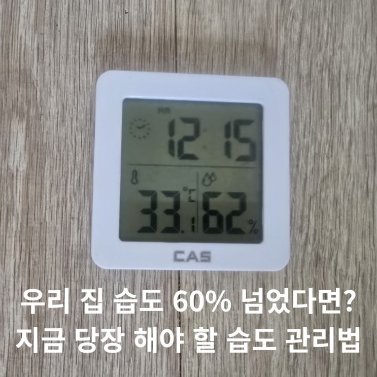  집 습도 관리, 습도 올라갈 시기에 꼭 해야 할 방법