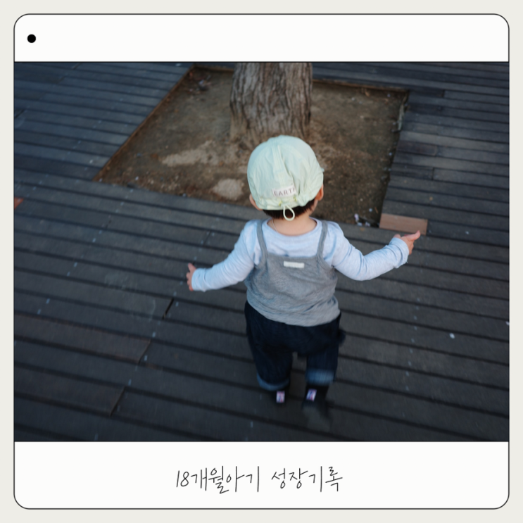  18개월 아기 발달 기록 | 어린이집 입소 준비