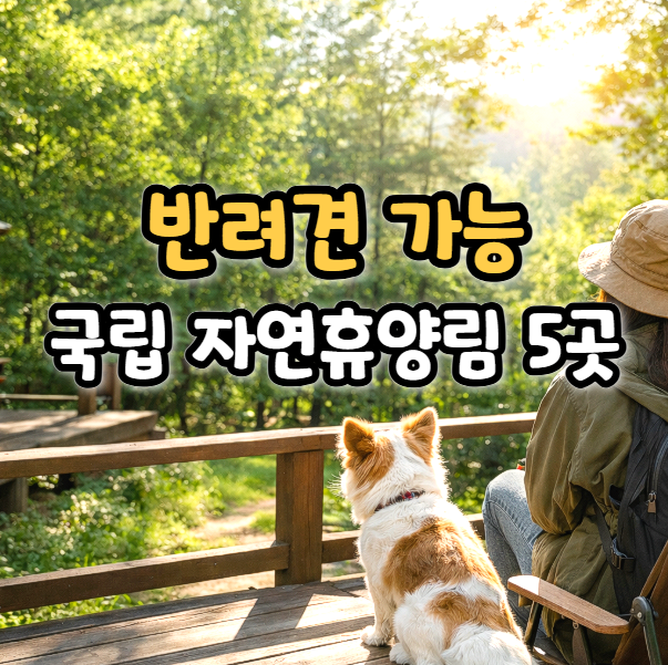 강아지 애견 동반 가능한 국립 자연휴양림은 어디?
