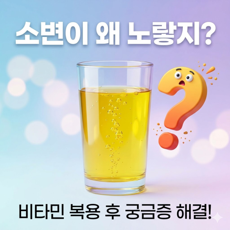  영양제 먹고 소변 노란색 비타민 부작용인가요? 깜짝 놀란 형광색 소변의 진짜 원인과 안심 복용법