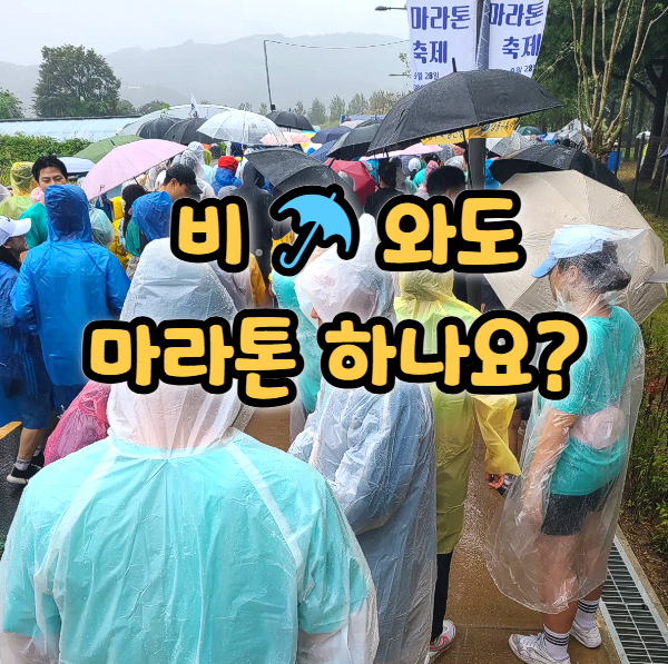  마라톤 대회 비가 내려도 진행?