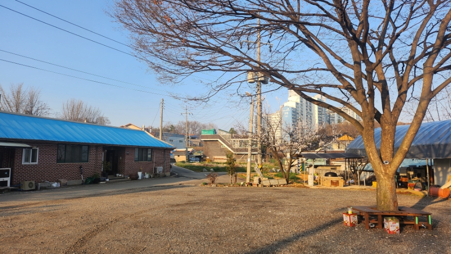 꾸지뽕능이백숙 사진 3