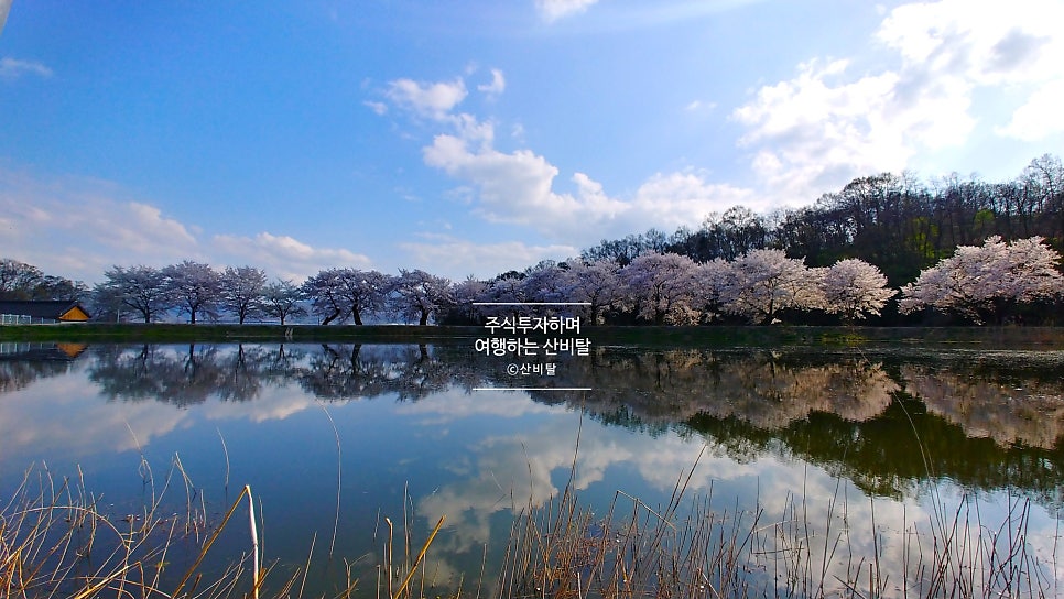 입석지 사진 5